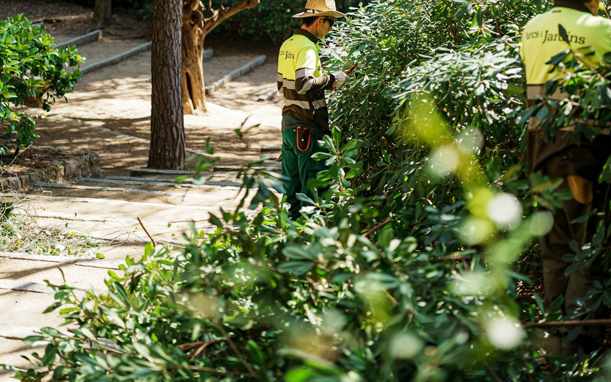 Grounds maintenance crew trimming vegetation at a public park